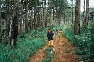 BIB: 
                            <button type="button" onclick="openModal(25663599)" class="btn btn-primary btn-sm float-right btn-popup" data-toggle="modal" data-target=".modal-high-quality">
                        <i class="fas fa-shopping-cart"></i> Add to Cart
                    </button>
                                            <button type="button" onclick="isThisMe(25663599, true)" class="btn btn-success btn-sm float-right btn-popup btn-isme hidden" data-toggle="tooltip" data-placement="bottom" title="นี่คือรูปของคุณใช่ไหม คลิกที่นี่เพื่อเอาเข้าอัลบั้ม">
                        <i class="fas fa-plus"></i> Add to album
                    </button>
                    <button type="button" onclick="isThisMe(25663599, false)" class="btn btn-warning btn-sm float-right btn-popup btn-isnotme hidden">
                        <i class="fas fa-ban"></i> Remove from album
                    </button>